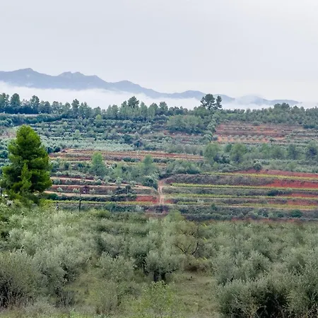 Camins Del Priorat : Ermita Sant Gregori Apartment *